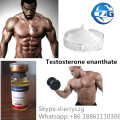 Te Bodybuilding Supplement Steroid Hormone Testosterone Enanthate